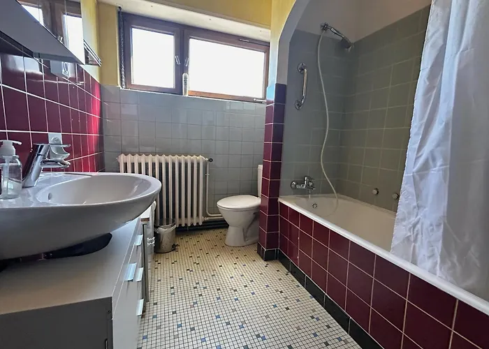 La Maison De Papa Tatil Evi Sélestat